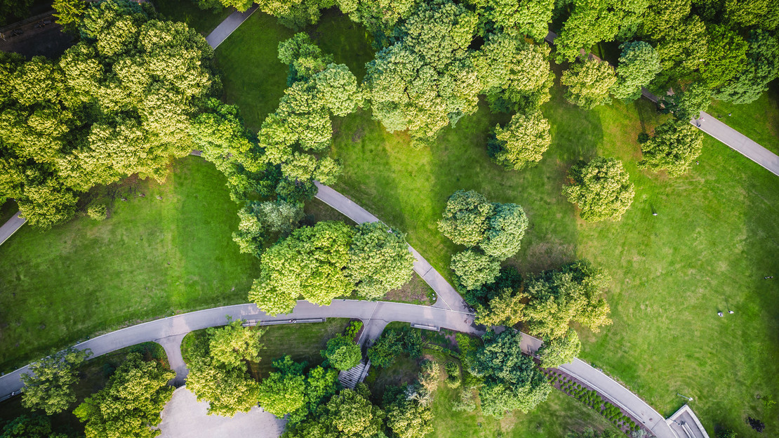 Luftbildaufnahme eines grünen Parks mit Wegen.